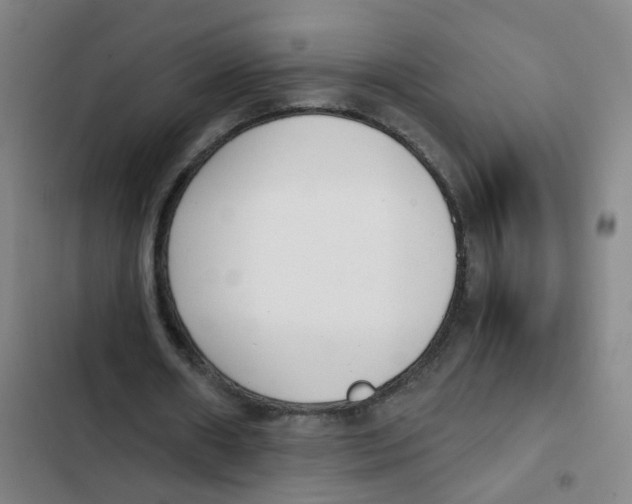 X0000102370482200808291252