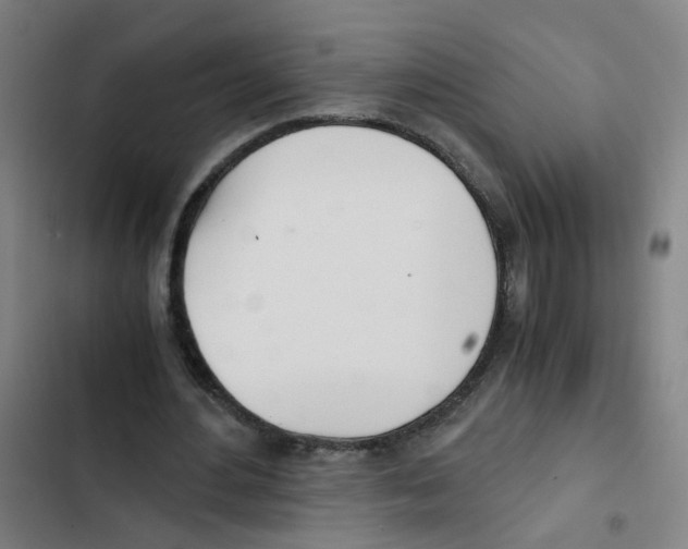 X0000102370484200808291252