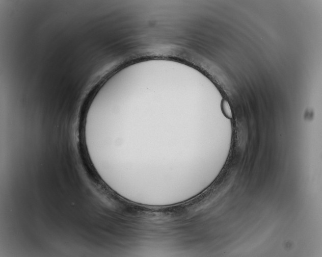 X0000102370486200808291252
