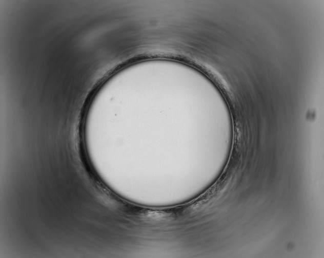 X0000102370487200808291252