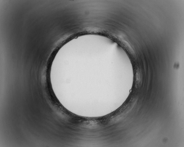 X0000102370492200808291252