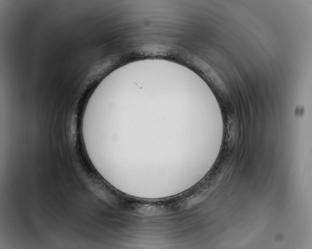 X0000102370494200808291252