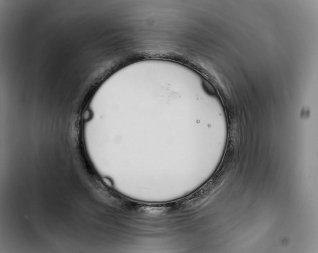 X0000102370495200808291252
