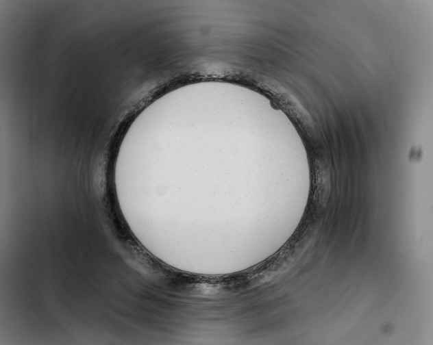 X0000102370496200808291252