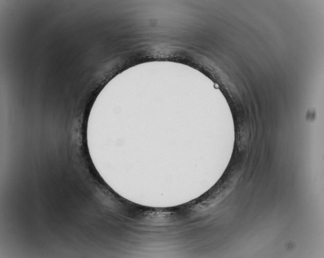 X0000102370497200808291252