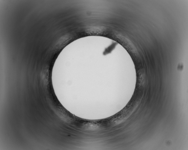 X0000102370498200808291252