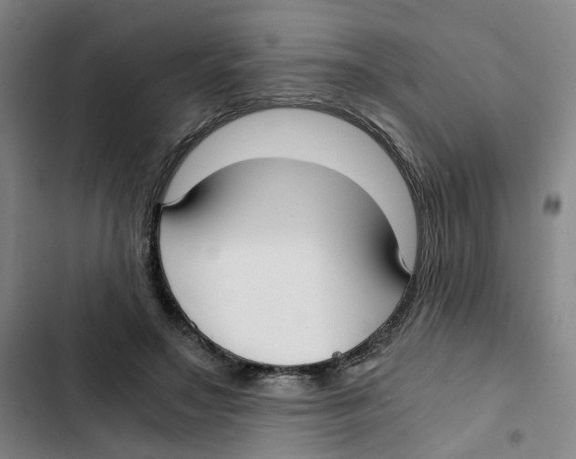 X0000102370499200808291252