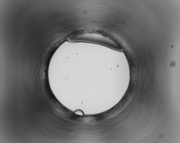 X0000102370501200808291252