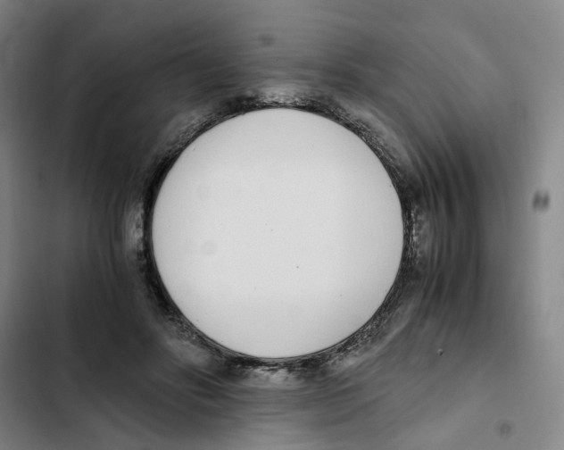 X0000102370502200808291252