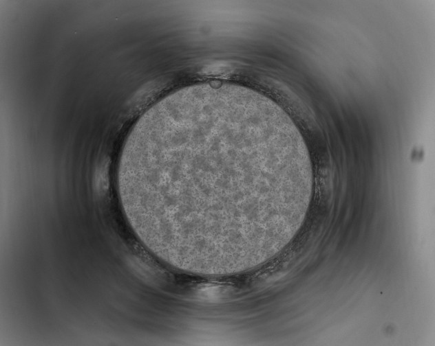X0000102370504200808291252