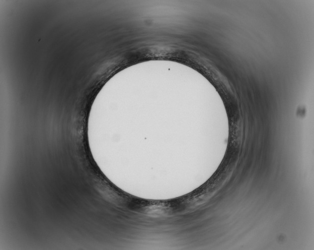 X0000102370505200808291252