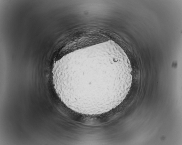 X0000102370507200808291252