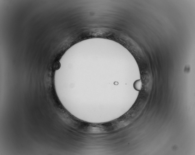 X0000102370510200808291252