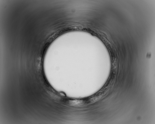 X0000102370511200808291252