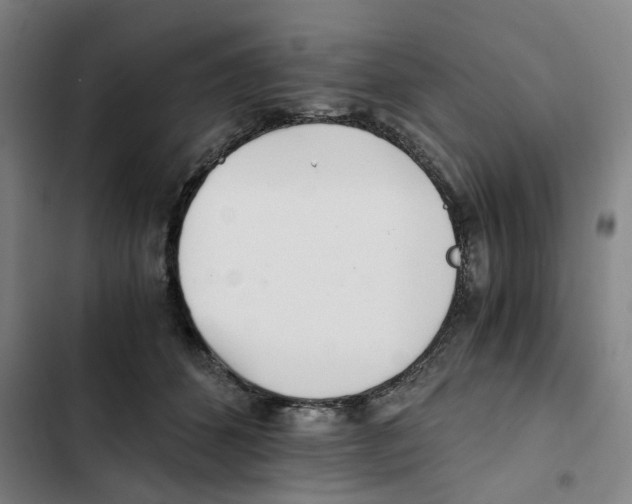 X0000102370512200808291252