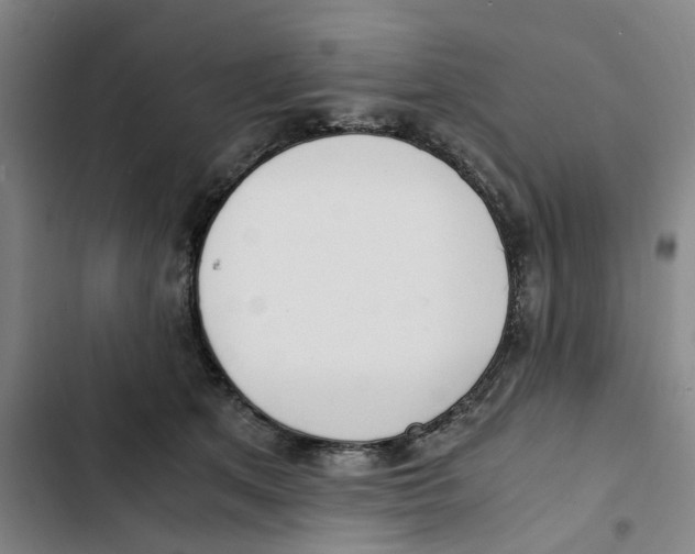 X0000102370513200808291252
