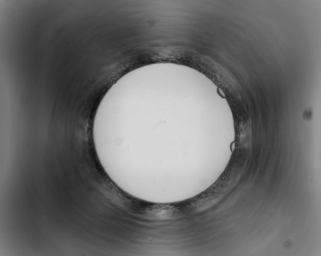 X0000102370514200808291252