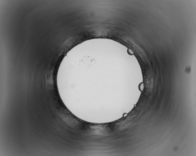 X0000102370516200808291252