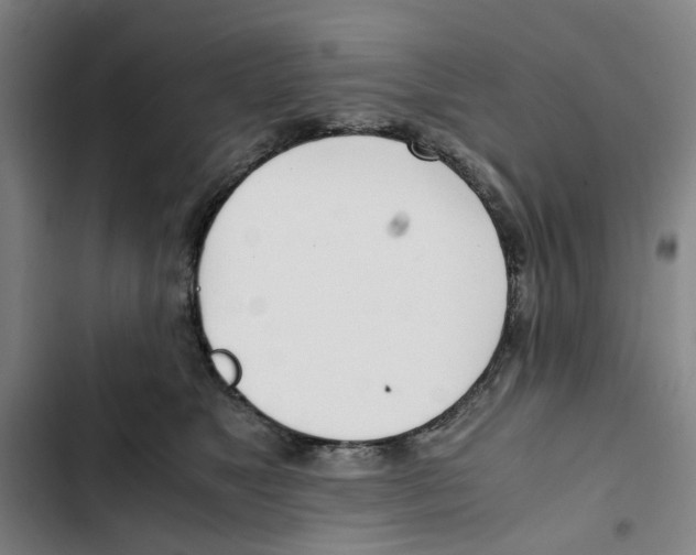 X0000102370517200808291252
