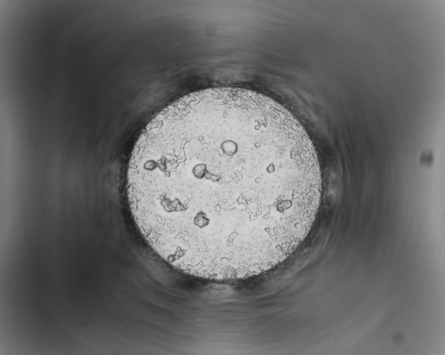 X0000102370519200808291252