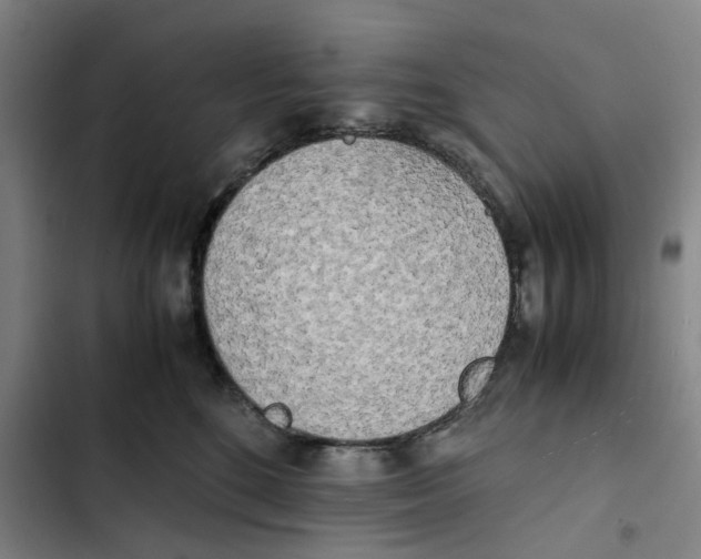 X0000102370520200808291252