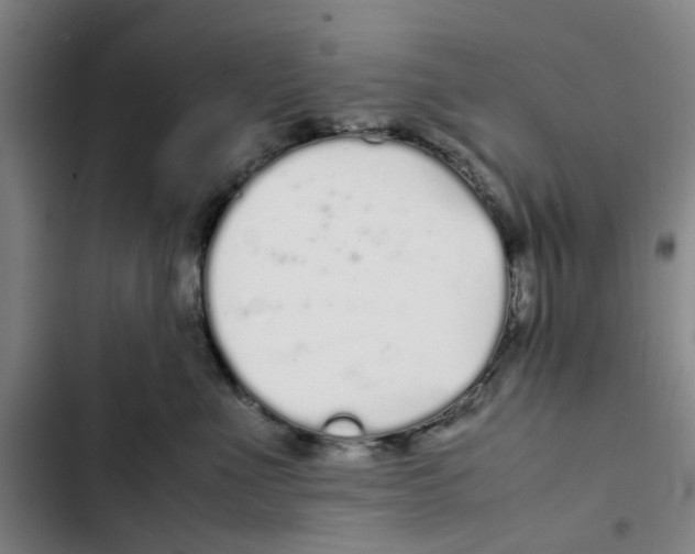 X0000102370523200808291252