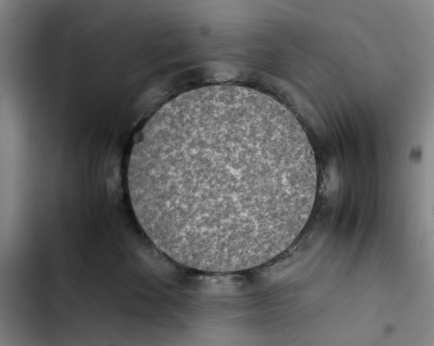 X0000102370524200808291252