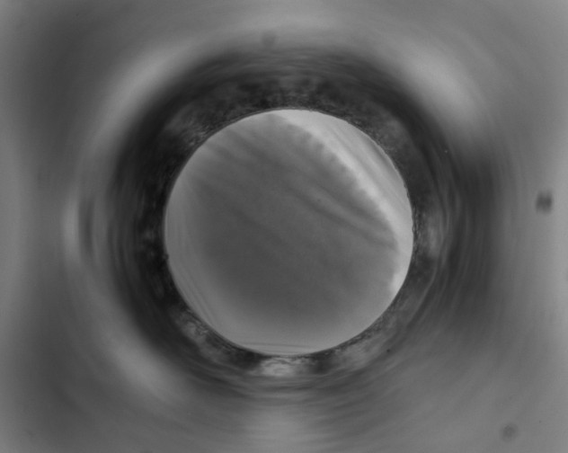 X0000102370526200808291252