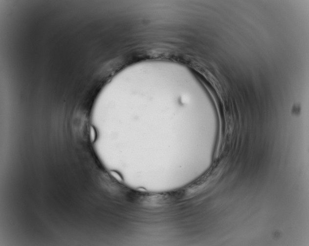 X0000102370527200808291252