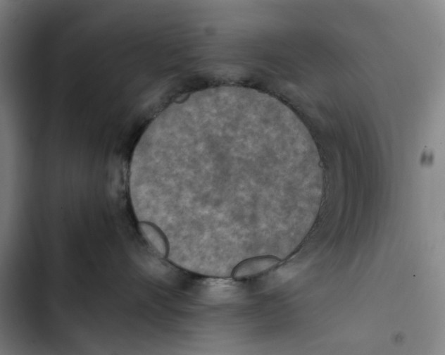 X0000102370528200808291252