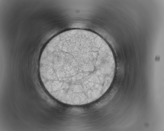 X0000102370529200808291251