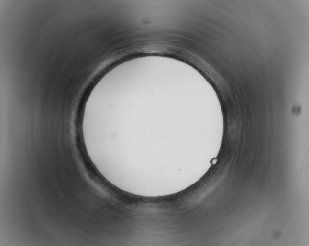 X0000102370530200808291251