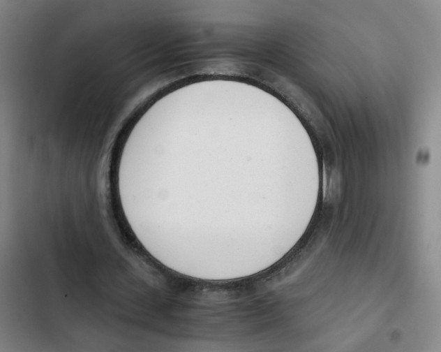 X0000102370531200808291251