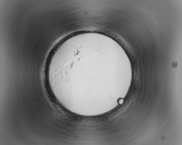 X0000102370532200808291251