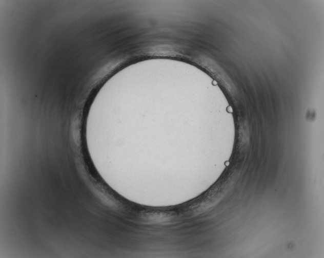 X0000102370533200808291251