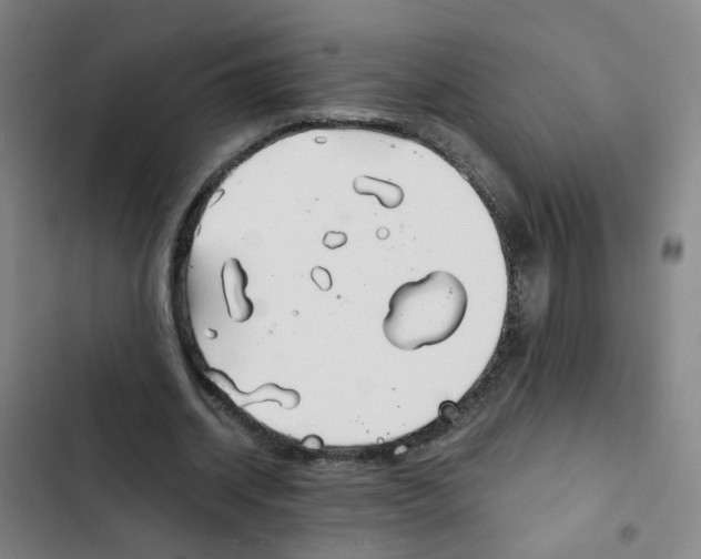 X0000102370534200808291251
