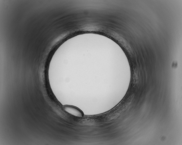 X0000102370535200808291251