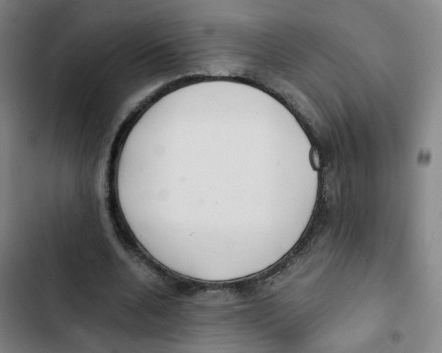 X0000102370536200808291251