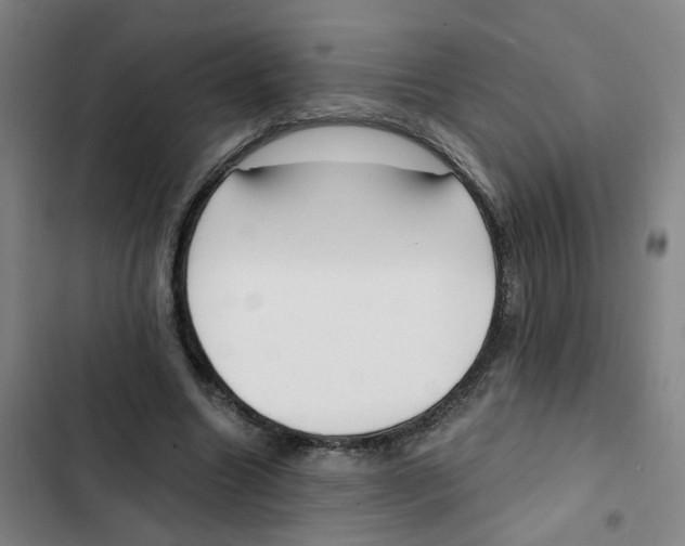 X0000102370538200808291251
