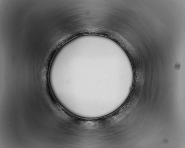 X0000102370542200808291251