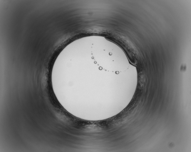X0000102370544200808291251