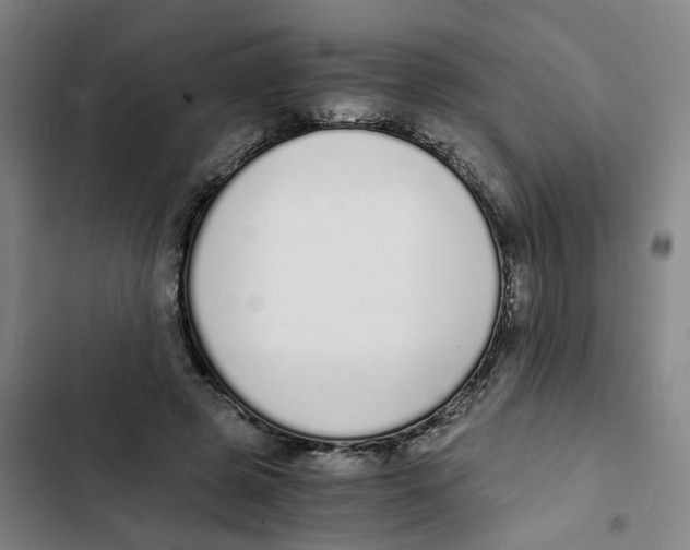 X0000102370545200808291251