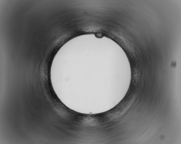 X0000102370547200808291251