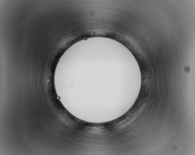 X0000102370548200808291251