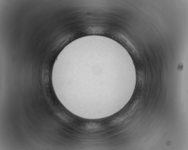 X0000102370549200808291251