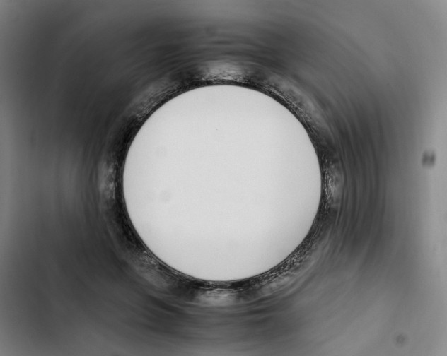 X0000102370551200808291251