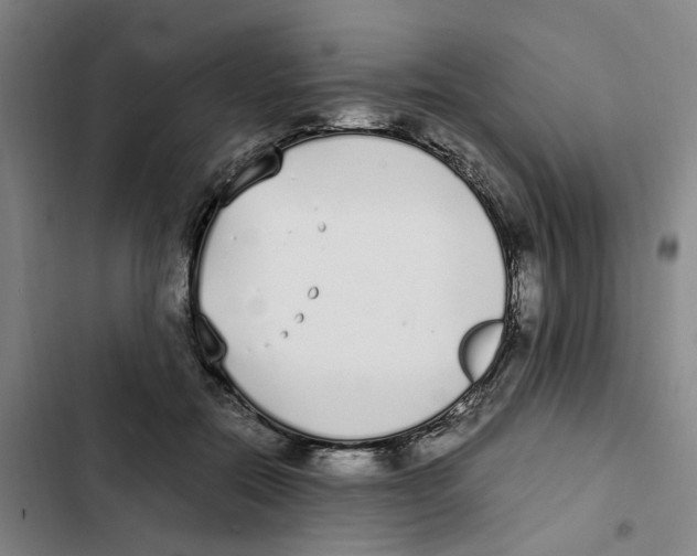 X0000102370554200808291251