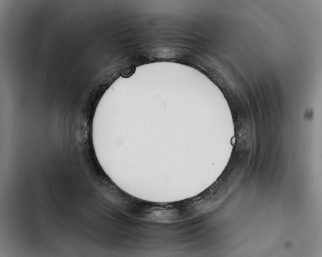 X0000102370555200808291251