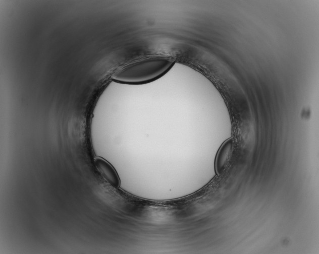 X0000102370556200808291251