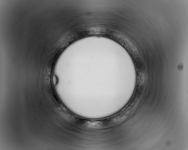 X0000102370557200808291251